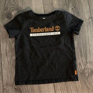 Timberland Kids Tee in Gray Dark  with Gold Logo 24 M